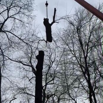JJ Tree Service - Big cherry removal with a crane - Tree Services Near Me JJ Tree Service - Big cherry removal with a crane - Tree Services Near Me