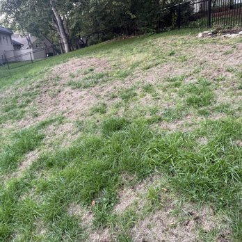 Pro Turf and Pro Pest Solutions - Backyard - Tree Services Near Me - Belton, Missouri Pro Turf and Pro Pest Solutions - Backyard - Tree Services Near Me - Belton, Missouri