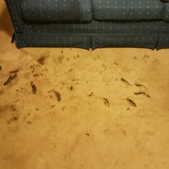 B & B Professional Carpet Cleaning - Before Cleaning - Carpet Cleaning Near Me - Madison, Ohio B & B Professional Carpet Cleaning - Before Cleaning - Carpet Cleaning Near Me - Madison, Ohio