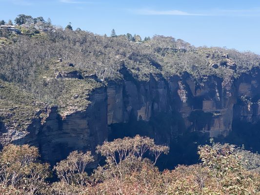 Blue Mountains National Park by null