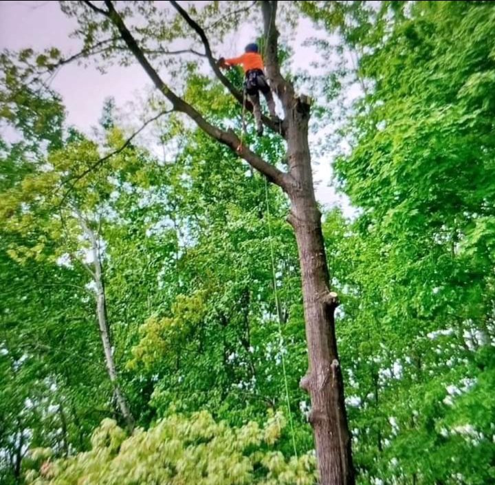 Slide of Jamie VanEtten