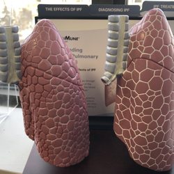 Vivek Dhawan, MD - Chest Care Clinic - Damaged lung and good lung