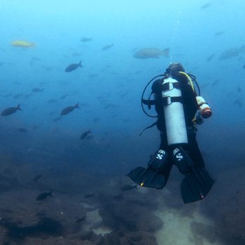 Cabo Private Guide - Scuba Diving Near Me - Cabo San Lucas, BCS
