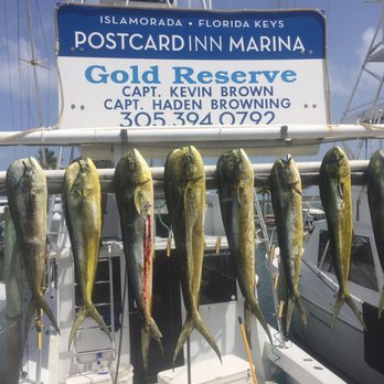Islamorada Fishing Charter - Fishing Near Me - Islamorada, Florida Islamorada Fishing Charter - Fishing Near Me - Islamorada, Florida