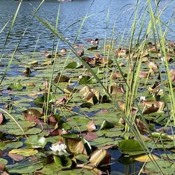 user provided Rocky Mountain Lake Park photo