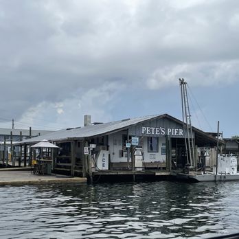 Fun 2 Dive Manatee Tours - Crystal River Dock - Snorkeling Near Me - Crystal River, Florida