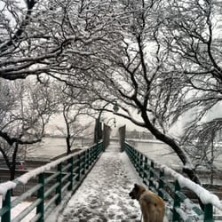 Peter Detmold Park