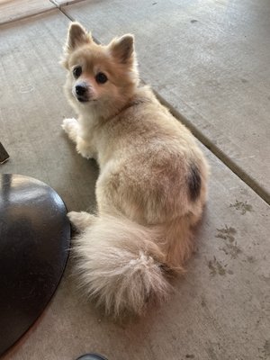 Southpaws Pizza and Sports Bar by null