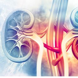 The Kidney Clinic