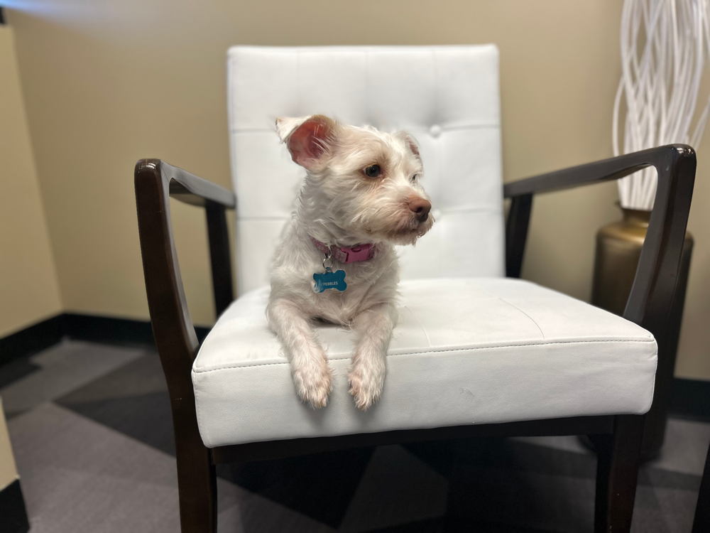 Aspire Counseling Services - grief counselor in Phoenix, AZ