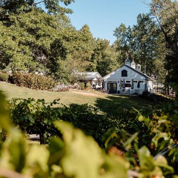 Stoney J's - Wine Tasting Room Near Me - Cumming, Georgia Stoney J's - Wine Tasting Room Near Me - Cumming, Georgia