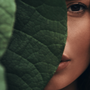 Photo of Yavana Holistic Beauty