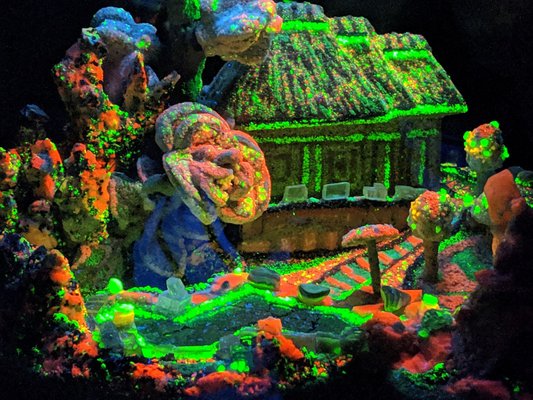 Electric Ladyland - Museum of Fluorescent Art by null