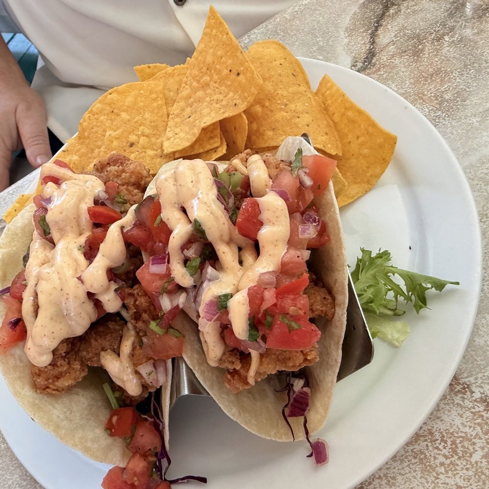 Key Largo Conch House - Gator tacos - Seafood Near Me - Key Largo, Florida Key Largo Conch House - Gator tacos - Seafood Near Me - Key Largo, Florida