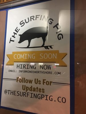 The Surfing Pig Hawaii by null