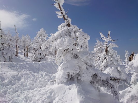 Zao Onsen Ski Resort by null