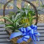 Photo of Anointed Flowers & Gifts