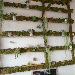 Entry plant wall  cute and relaxing design.