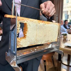 Wild Honey - Honey with dessert