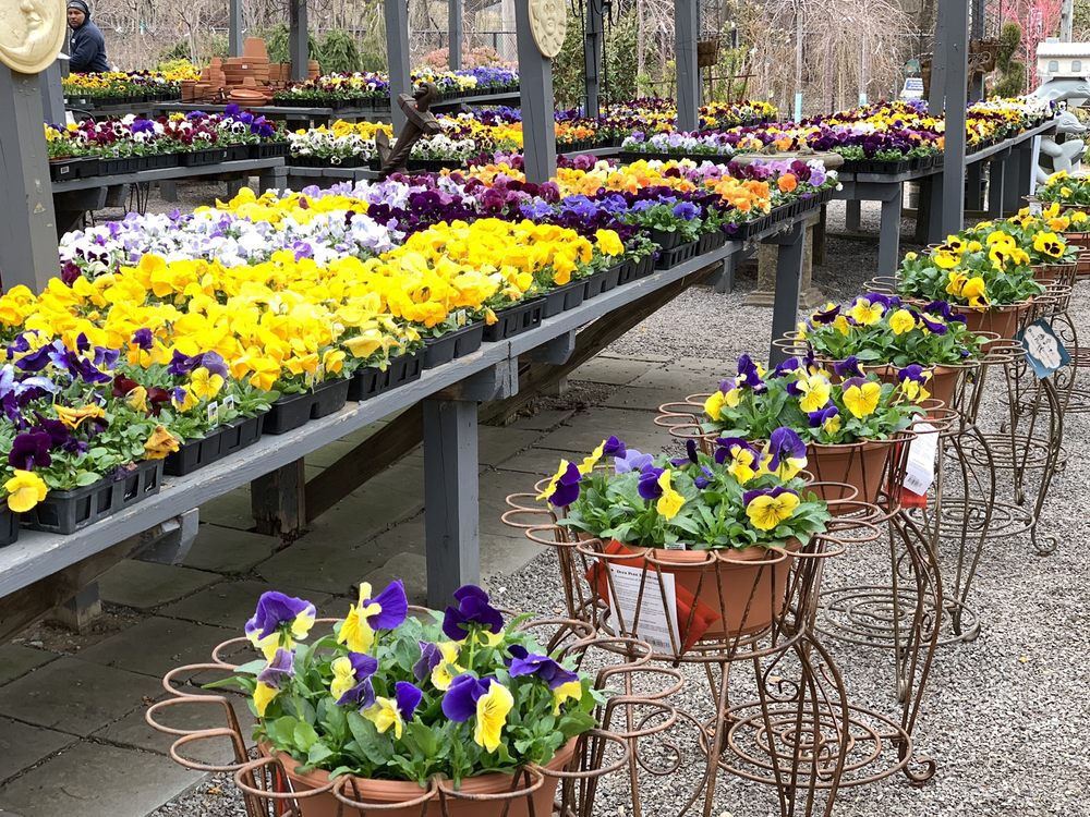 NORTH SHORE GARDEN CENTER Updated September 2024 22 Photos 53 Ave