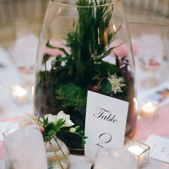 Sprout Home - wedding terrarium & bud vase centerpieces - Nurseries & Gardening Near Me - Chicago, Illinois Sprout Home - wedding terrarium & bud vase centerpieces - Nurseries & Gardening Near Me - Chicago, Illinois