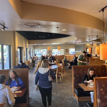 Panera Bread - Busy inside - Sandwiches Near Me - Tampa, Florida