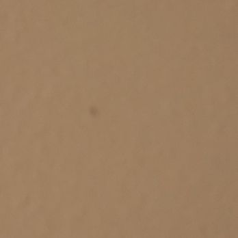 Ocean Park Inn - Mosquito - San Diego, CA