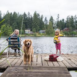 Big Bear Lakefront Cabins & Best Mountain Vacation Rentals