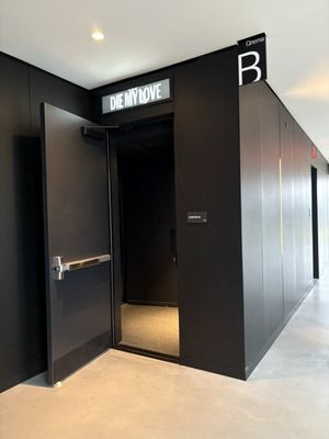 Brooklyn Academy of Music by null