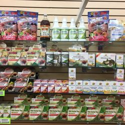 World of Health