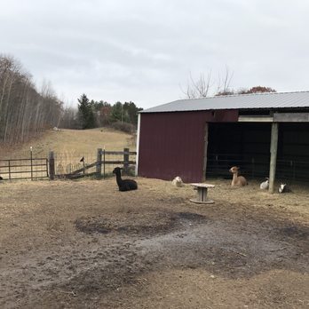 Collegeville Orchards - a barn with animals in the yard - Fruits & Veggies Near Me - Saint Joseph, Minnesota Collegeville Orchards - a barn with animals in the yard - Fruits & Veggies Near Me - Saint Joseph, Minnesota