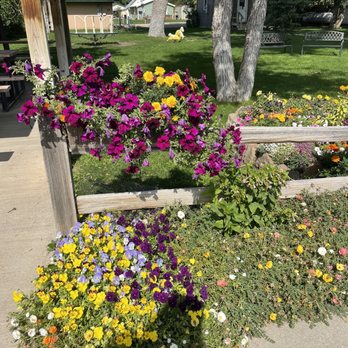 Red Rock Cafe - a variety of flowers in a garden - Cafes Near Me - Hulett, Wyoming