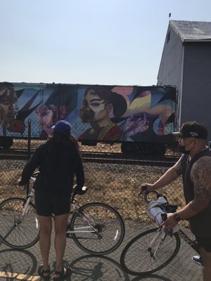 Napa Valley Vine Trail by null