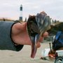 Photo of Tybee Beach Ecology Trips