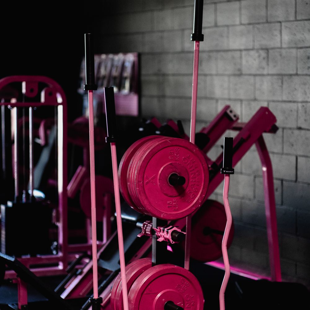 TOP 10 BEST Trainers in Solano County, CA - Updated 2026 - Yelp