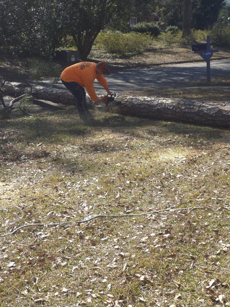 Slide of Pro Service Tree Service