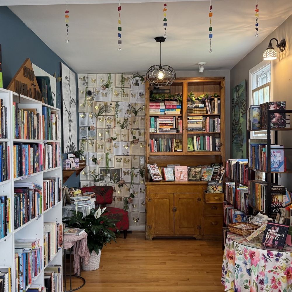 Between the Covers Bookshop - Full View of Bookshop from Front of Store - Bookstores Near Me - Harrisburg, Pennsylvania Between the Covers Bookshop - Full View of Bookshop from Front of Store - Bookstores Near Me - Harrisburg, Pennsylvania
