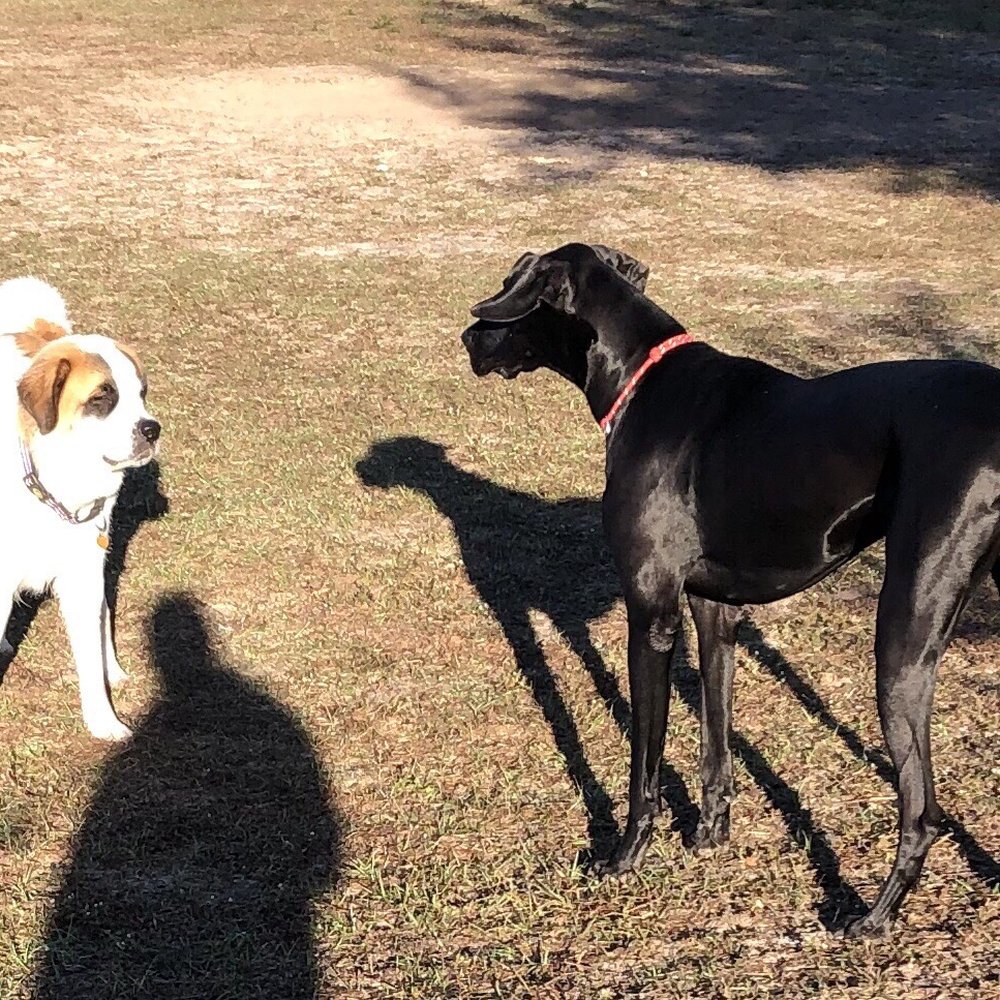 Jervey Gantt Park - Parks Near Me - Ocala, Florida