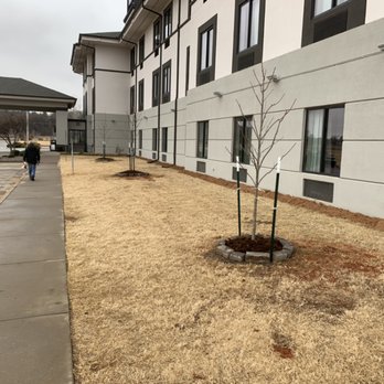 ProCurb Landscaping - Tree installation services - Landscaping Near Me - Oklahoma City, Oklahoma ProCurb Landscaping - Tree installation services - Landscaping Near Me - Oklahoma City, Oklahoma