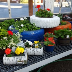 Buffalo Gardens - Patio Pots & Gift items