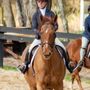 Photo of Areion Equestrian