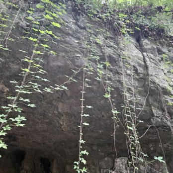 The Caverns - Cave entrance - Music Venues Near Me - Pelham, Tennessee