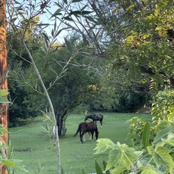 Lagoon RV Park And Campground - Farmington trail access with horses, and animals who live at the amusement park.