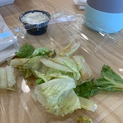 Saladworks - Rotten Romaine