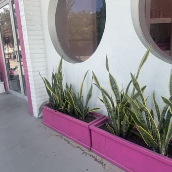 Matcha Mia Montrose - Front of building - Juice Bars & Smoothies Near Me - Houston, Texas