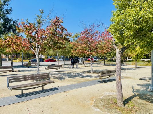 CUPERTINO LIBRARY - Updated February 2026 - 200 Photos & 233 Reviews ...