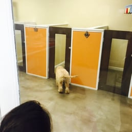The suites are perfect for all pets!