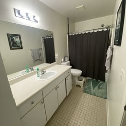 Bloombrite Cleaning - Bathroom deep cleaned