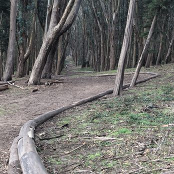 The Presidio - Cool natural art - Parks Near Me