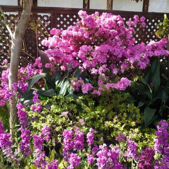 Lincoln Park Conservatory - Parks Near Me - Chicago, Illinois